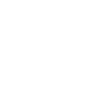 iconCapital