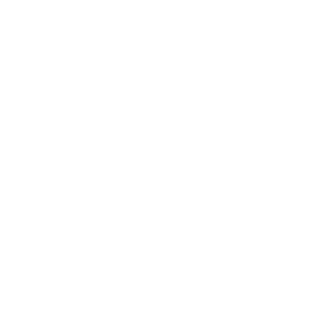 iconSeguridad